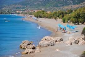 Image result for Kampochloa