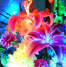 These diy lighting bug effect avatar dark tree mood light night light natural glow natural light plant decor genetics save. On Electric Avenue Neon Flowers Neon Aesthetic Neon Colors