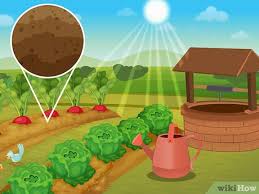 Remove plants from the container by pushing up from the bottom. How To Plant Your First Garden With Pictures Wikihow