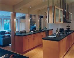 Granite can be found in almost any color including white, black, blue, red, and gold. Black Granite Countertops Styles Tips Video Infographic