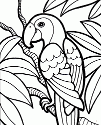 Maybe you would like to learn more about one of these? Parrot Bird Drawing With Colour For Kids Bird Wallpaper