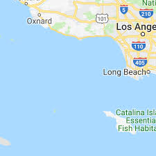 Accuracy plus termite and pest control is the. Eco Pest Control Exterminator Orange County Pest Control California Cockroach Control California Coast Southern California Beaches Printed Circuit Boards