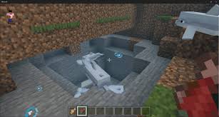 Dolphin – Minecraft Wiki
