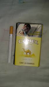 They sell oysters in the shop next door: Mexican Camel Filters Cigarettes