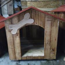 Casas Para Perros Home Facebook