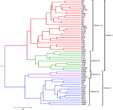 Best selling product oem odm high nutrition argan oil moisturizing nourishing repairing hair care hair treatment conditioner. Genetic And Biochemical Variability Among Moringa Oleifera Lam Accessions Collected From Different Agro Ecological Zones