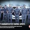 Pest ex is a leading pest control & termite treatment services company based in gold coast got pests? 1