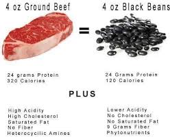 the myths metaphysics of protein