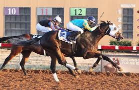 Zia Park Entries Results