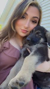 How do you picture the Tree of Harmony?