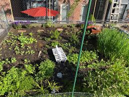 Not only should the selection of plants and garden flowers be dictated by specific climates, but the care and maintenance of planters themselves depend on climate as well. How To Start Gardening Even If You Live In The Middle Of The City