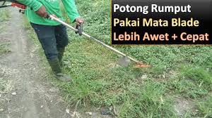 Cara kerja mesin pemotong rumput. Potong Rumput Pendek Pakai Pisau Baling Baling Blade Pisau Awet Dan Potong Lebih Cepat Youtube