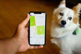 Sur.ly for any website in case your platform is not in the list yet, we provide sur.ly. 30 Best Gps Pet Trackers 2020 Reviews Updated Guide Pet Tracker Pet Gps Pets