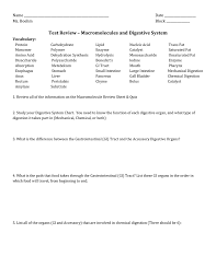 Test Review_digestive_macro