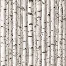 Bilder p tapet bjorkstammar