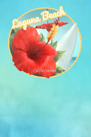 Maybe you would like to learn more about one of these? Laguna Beach California Cute Red Hibiscus Surfing Beach And Surfboard Dotted Grid Bullet Journal Notebook 100 Pages 6 X 9 Inches Log Book Surfing Beaches Series Volume 18 Rose Jennifer 9781093472233 Amazon Com Books