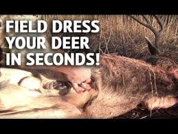 To reduce your risk of exposure to disease, wear disposable plastic gloves while handling animals. How To Field Dress A Deer In Seconds Youtube