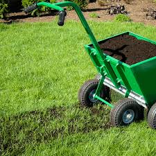 But lawn dressing is often done with sand and that's where the problem is. Top Dressing And Overseeding Greenheart Lawn Treatments