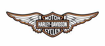 Image result for harley davidson wing