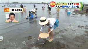 川添永津子アナが潮干狩りで、思いっきり胸チラ・ブラチラ・谷間チラ！！ : アナきゃぷ速報