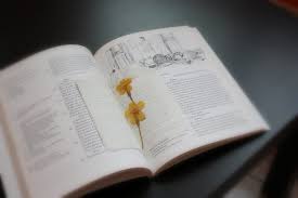 How to vase dry flowers. Dry Flowers In The Book Katia Flickr