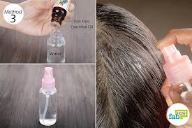 Tea tree oil is poisonous when taken internally. 10 Medicinal Uses Of Tea Tree Oil For Skin Face And Health Fab How
