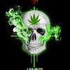 Download 1