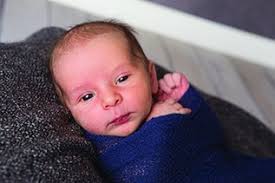 Madison Belle Whaley