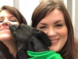 Photos: Knoxville puppy Molly Mae is in Animal Planet's Puppy Bowl