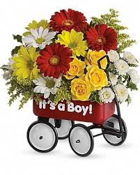 Maybe you would like to learn more about one of these? New Baby Flowers Delivery New York Ny Flowers By Valli