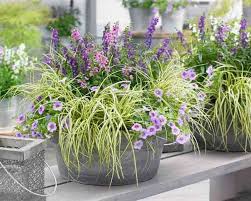 Where can i buy garden soil for free? Pin On Garden