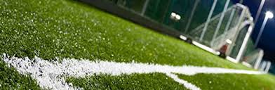 Image result for grass carpets blog