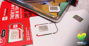 Whichever is easier for you! What Is An Mvno A Canadian Guide To New Carriers Whistleout
