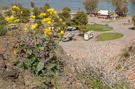Check spelling or type a new query. Parker Az Rv Parks Arizona State Parks