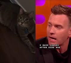 #duet with @thegnshow #ewanmcgregor #Cat #Cats #StarWarsCat #StarWarsCats  #catvideo #catvideos #catlover #catlovers #catsoftiktok #petoftiktok  #petontiktok #catowner #catowners #petlover #petlovers ...