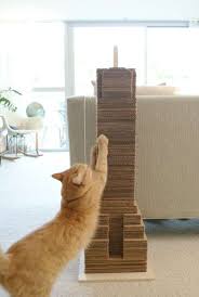 27 Supers Idees Bricolage Pour Chats Et Chiens Chat Bricolage Pour Chat Griffoir Chat Et Griffoir Chat Carton