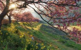 Morning Sunrise Minami Izu Shizuoka Japan Smartphone 4k Hd Desktop Wallpaper For 4k Ultra Hd In 2020 Beautiful Landscape Wallpaper Landscape Wallpaper Norway Landscape