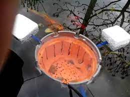Diy Floating Skimmer Youtube Diy Pond Pond Filters Goldfish Pond