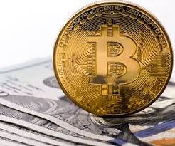 Bitcoin cash worth investing reddit india how can i trade stocks for free? Como Operar Opcoes De Disigner No Wordpress Investing In Bitcoin Reddit