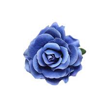 Trash Monkey Royal Blue Rose Flower Hair Clip 7 58 Liked On Polyvore Featuring Accessories Blue Rose Tattoos Blue Hair Accessories Flower Hair Accessories