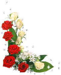 Pin De Jane Reis En Cicekler Bordes Para Hojas Flores Bonitas Flores