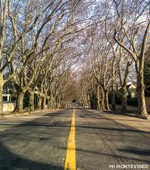 Vecinos del Prado reclaman por falta de seguridad