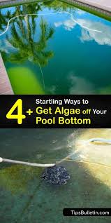 Jun 08, 2021 · how to kill black algae in 10 steps. Quick Tricks For Cleaning Algae From The Bottom Of Your Swimming Pool