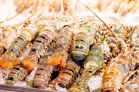 Check spelling or type a new query. Coulemelle Congeler Nos Delicieuses Recettes De Coulemelle Congeler