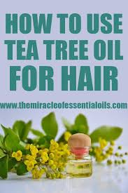 Can Tea Tree Oil Cause Your Hair To Fall Out Tea Tree Oil Tea Tree Tree Oil