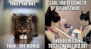 17 Memes About Catching The Red Dot That Will Have You Giggling All Day Red Dots Memes Dots