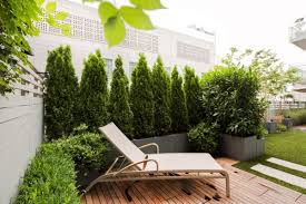 Terrassensichtschutz Ideen Bilder Und 20 Inspirierende Beispiele Terrassensichtschutz Sichtschutz Pflanzen Sichtschutz Terrasse