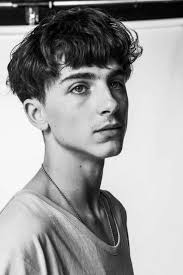 Timothee Chalamet Timothee Chalamet Timmy T Beautiful Boys