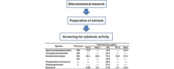 Image result for Aeschynomene stolzii