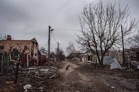 We may occasionally wish to email you relevant c21 news, promotions or events, please tick the box if you consent to receive these. F4aa92dc Dfbd 4e37 8ba9 D8b1becb1969 Ukraine War Photographer